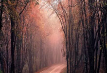 东升国际：甜美明媚，有女初长成！千叶百音世锦赛摘铜，已成顶梁柱.