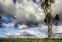 东升国际：足球报：国足一周左右集训更利于状态保持，长期集训没必要.